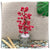 HAN0021 Hiasan Meja Pot Bunga Batu Kerikil